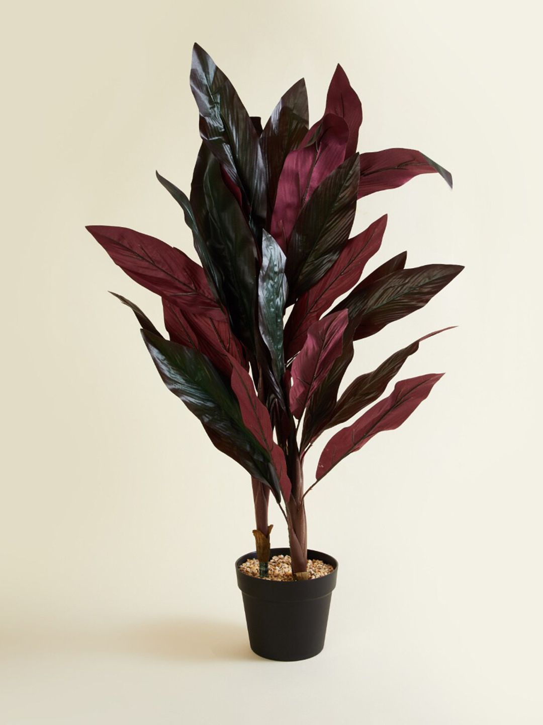 Home Centre Black & Red Textured Dracaena Artificial Plants With Pot Price in India