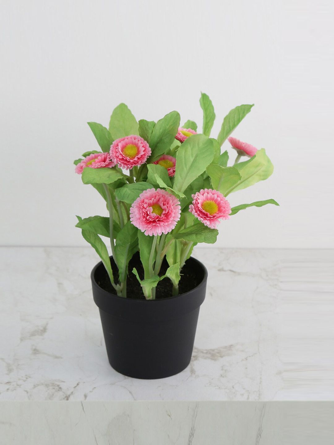 Home Centre Pink  Artificial Aster Flower With Pot Price in India