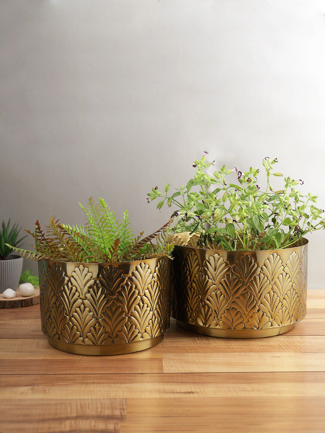 Aapno Rajasthan Set Of 2 Solid Planters Price in India