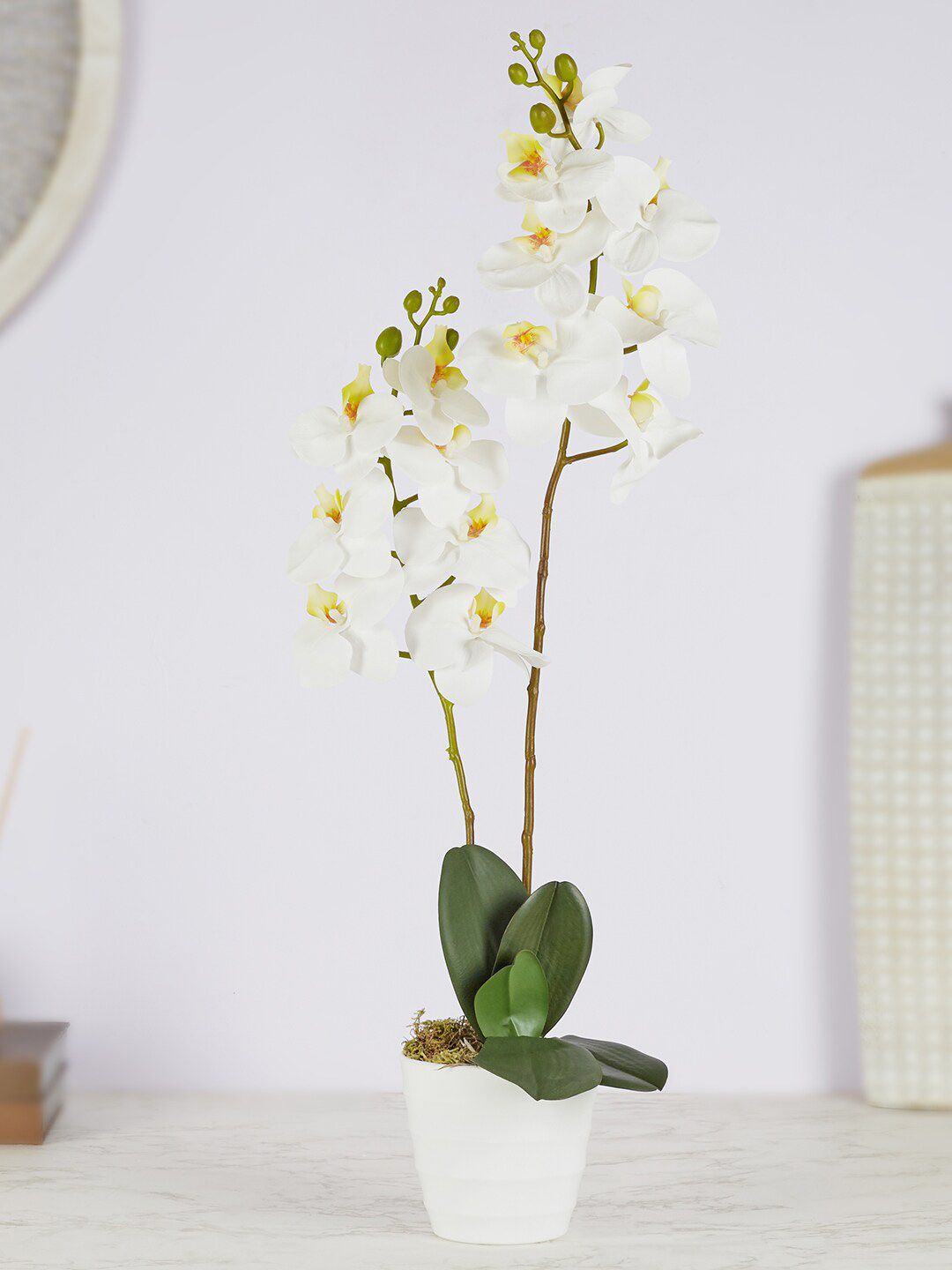 HomeTown White Artificial Orchid With Pot Price in India