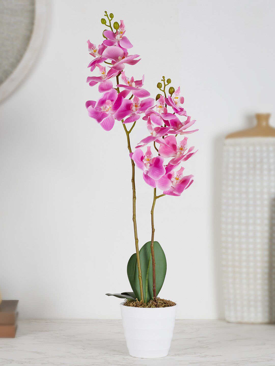 HomeTown Green & Pink Orchid Artificial Flowers & Plants With Pot Price in India