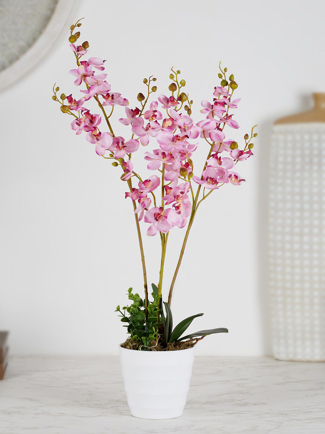 HomeTown Pink Orchid Potted Plant Price in India