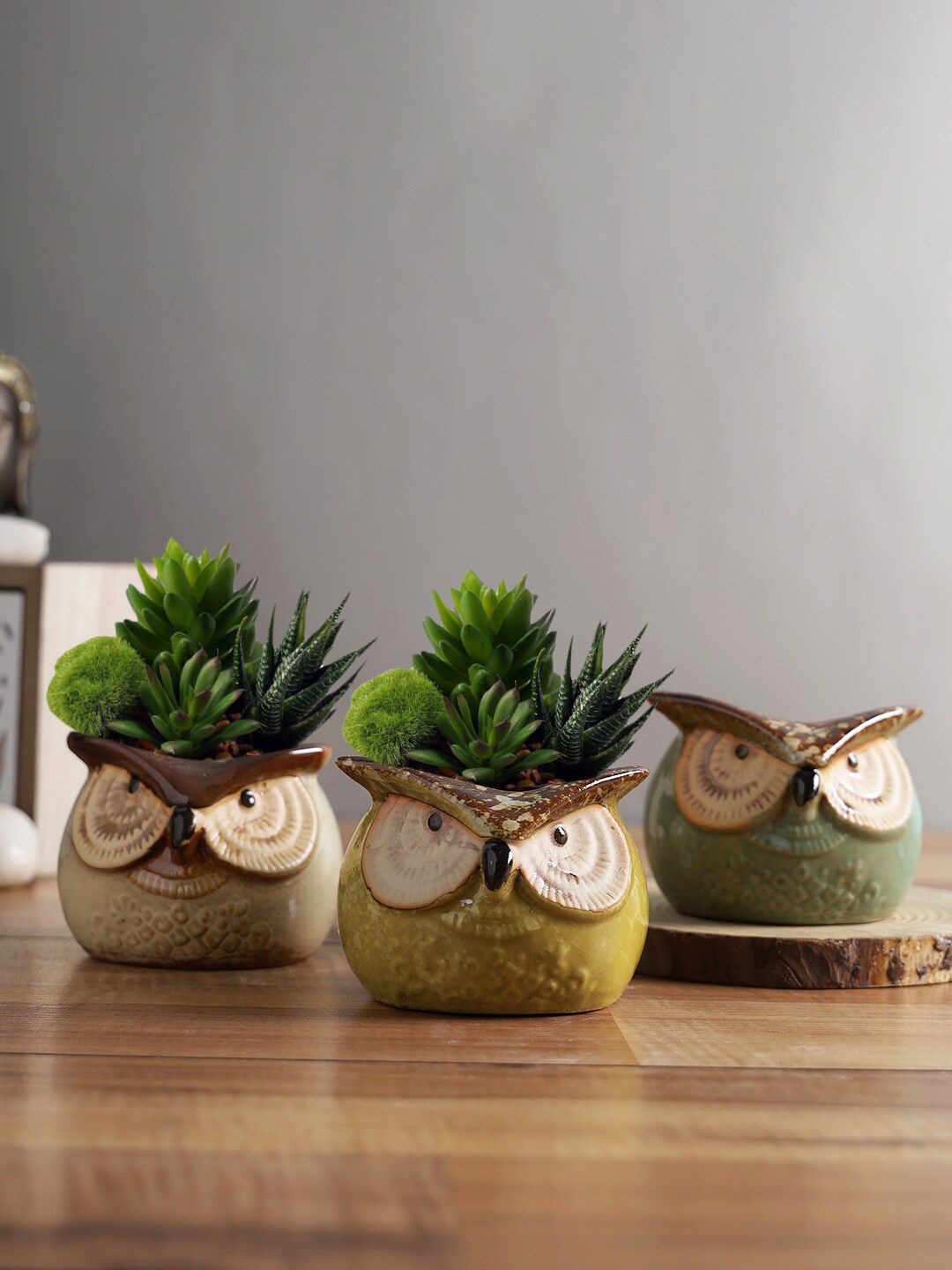 TAYHAA Set Of 3 Green & Yellow Owl Ceramic Pot Planters Price in India