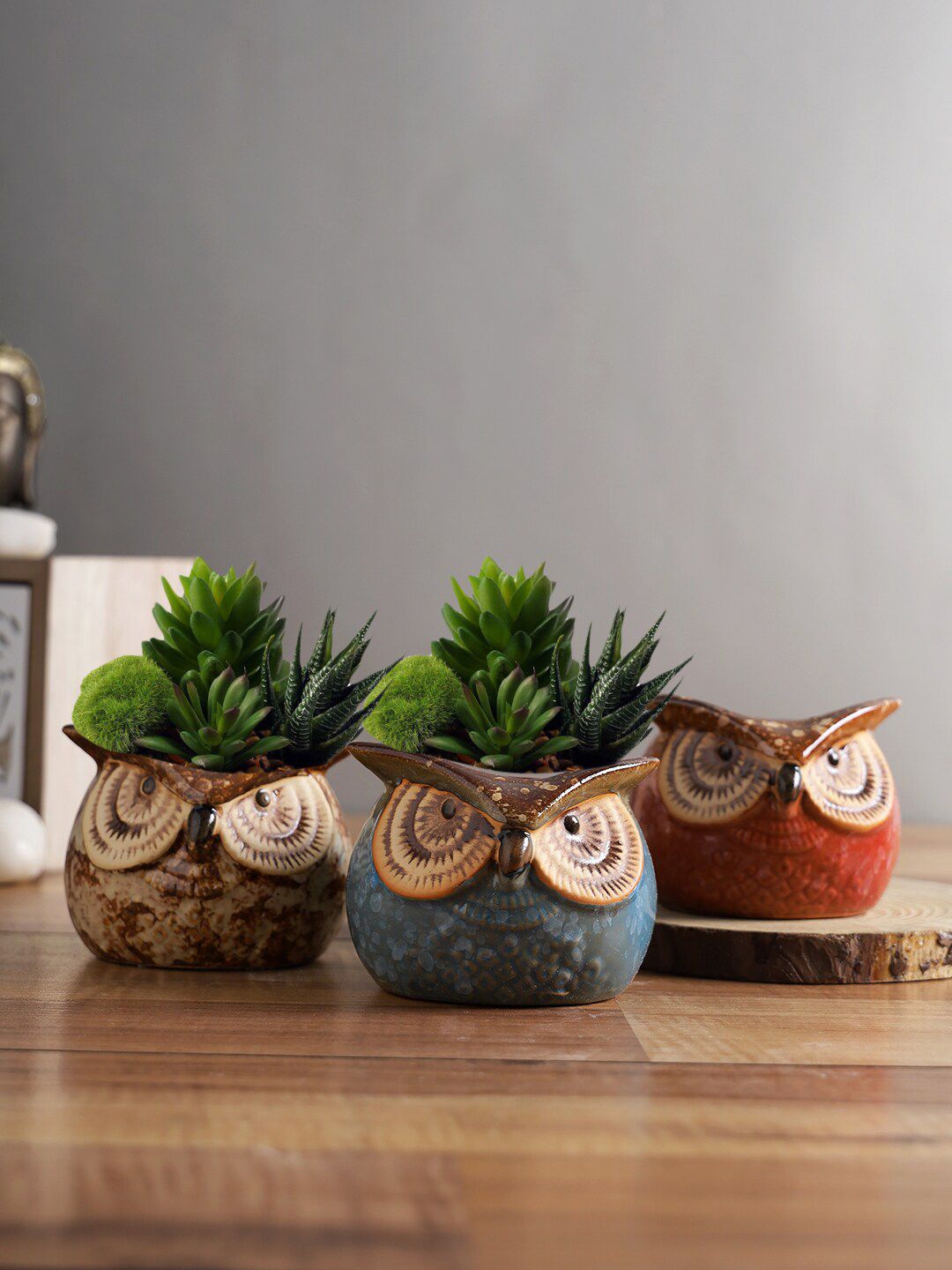 TAYHAA Set Of 3 Owl Design Ceramic Pot Planter Price in India
