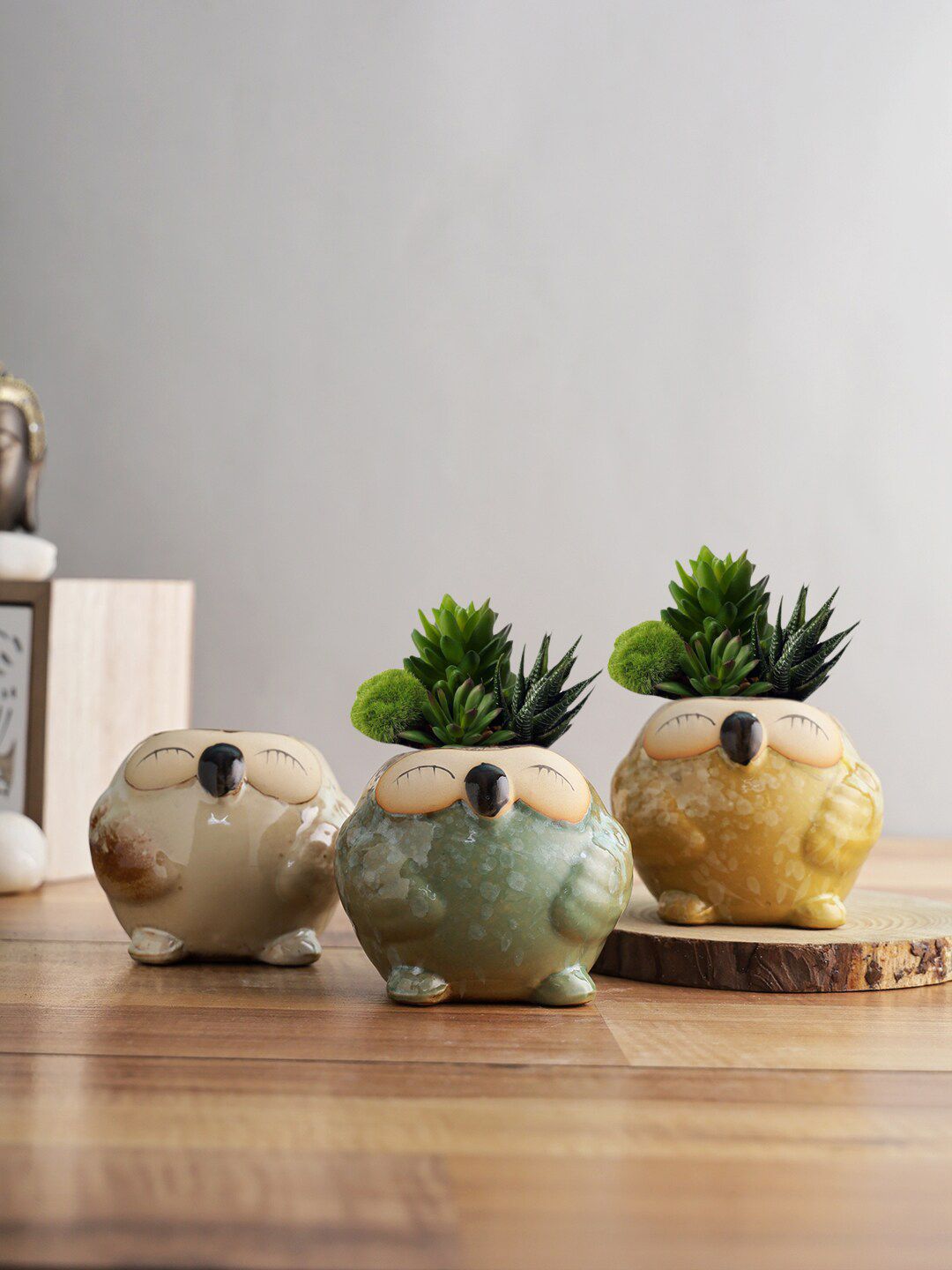 TAYHAA Set Of 3 Green & Yellow Owl Design Ceramic Pot Planters Price in India