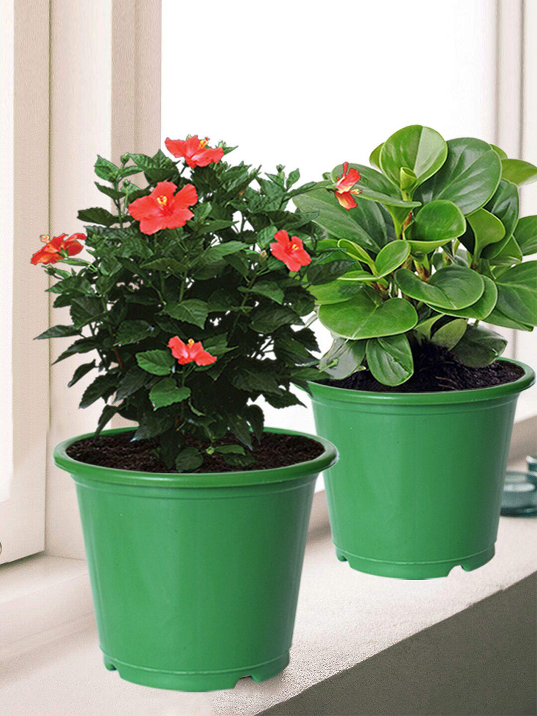 Kuber Industries Set Of 8 Green Solid Layered Plastic Flower Pot With Drainage Hole Price in India