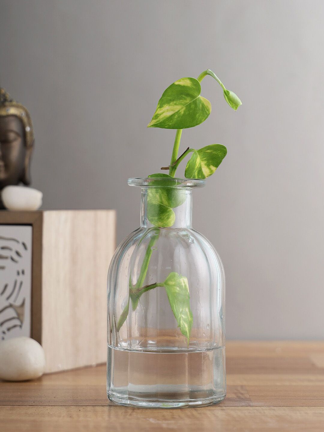 TAYHAA Grey & Transparent Retro Design Glass Vases Price in India