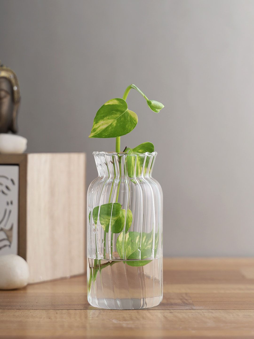 TAYHAA Transparent Textured Vases Price in India