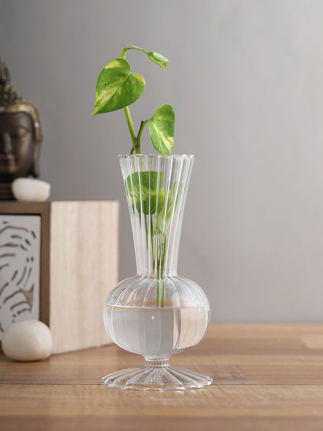 TAYHAA Transparent Textured Glass Flower Vase Price in India