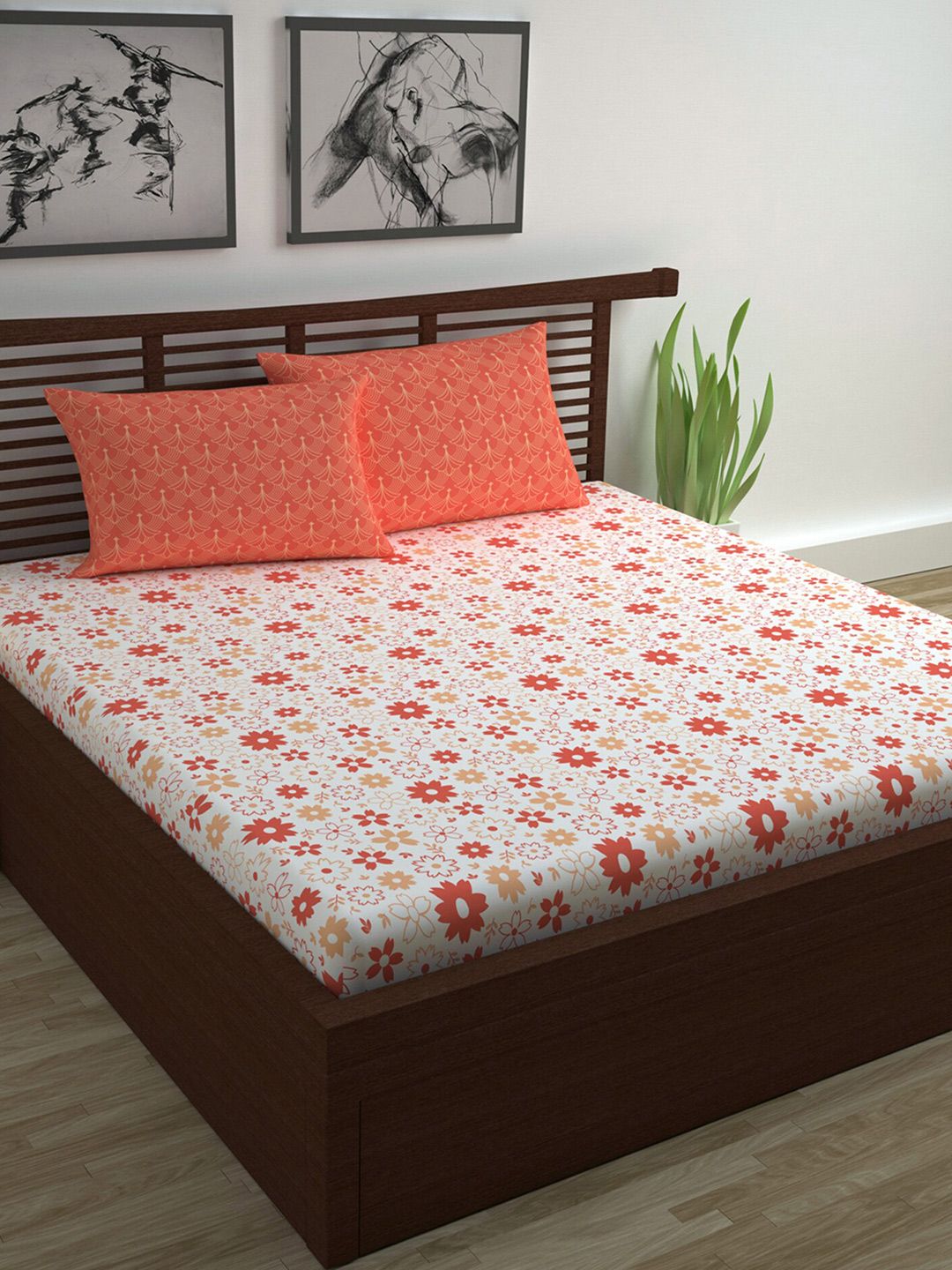 Divine Casa Orange & White Floral 144 TC Queen Bedsheet with 2 Pillow Covers Price in India