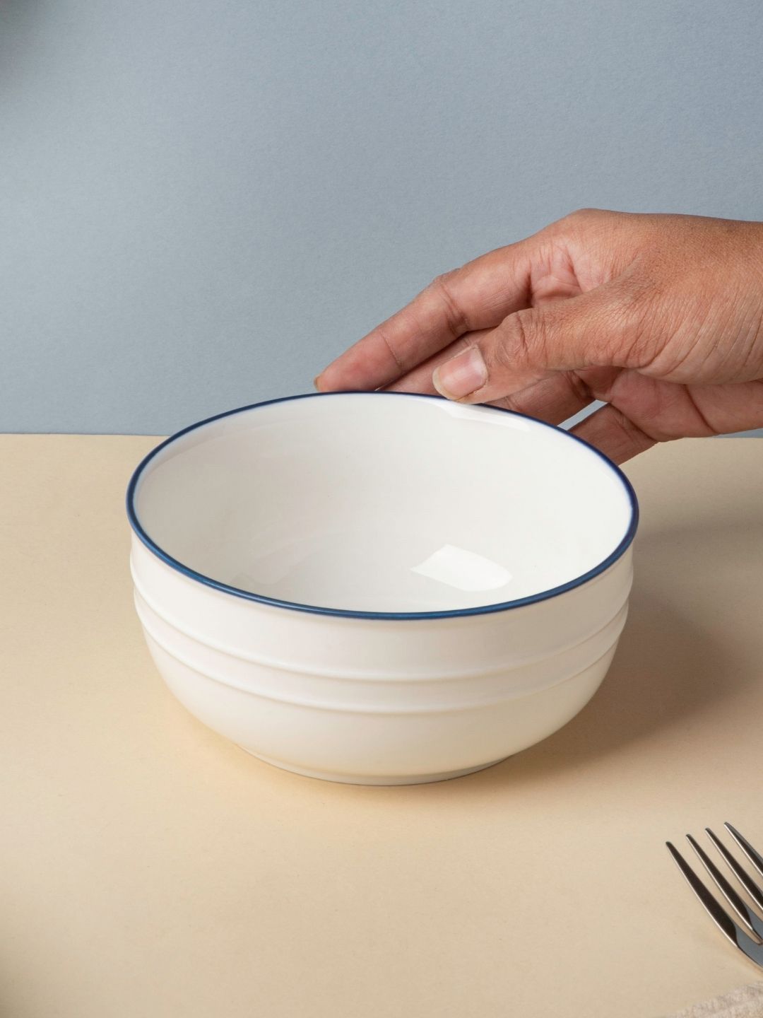 Nestasia White & Blue 1 Pieces Ceramic Matte Bowls Price in India