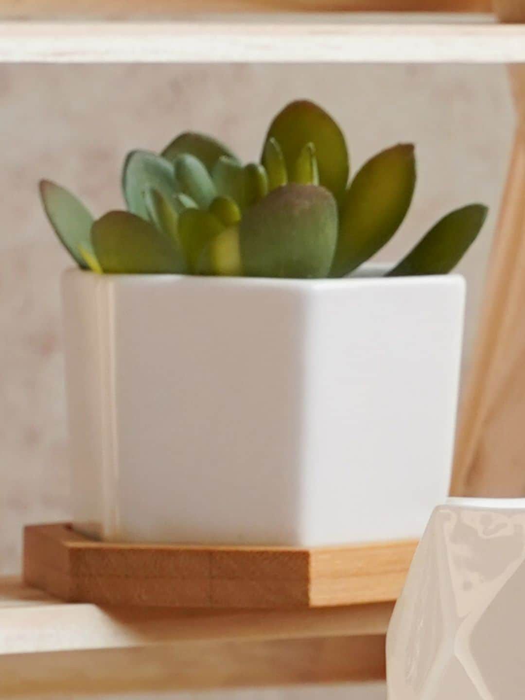 Nestasia Solid Planters With Coaster Price in India