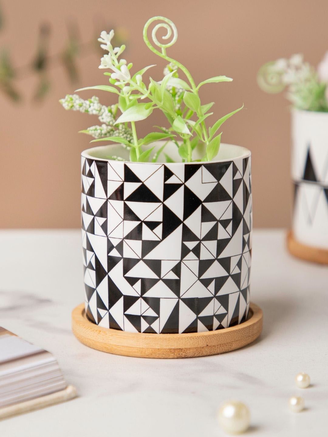 Nestasia Printed Ceramic Planter Pot With Coaster Price in India