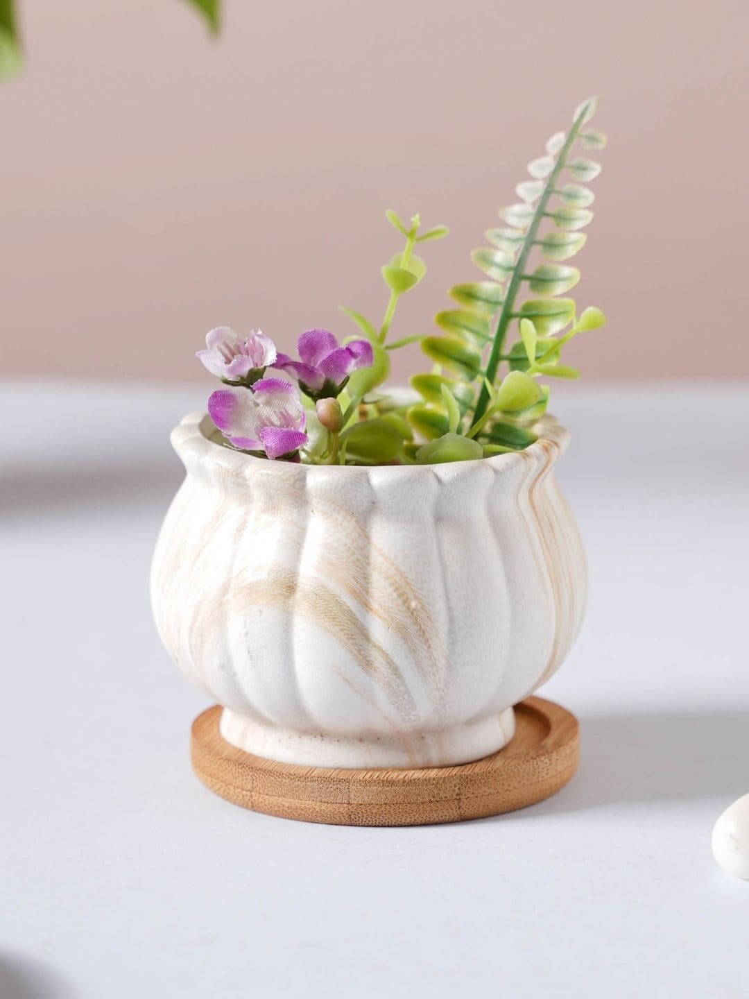 Nestasia White and Brown Scalloped Ceramic Planter With Coaster Price in India