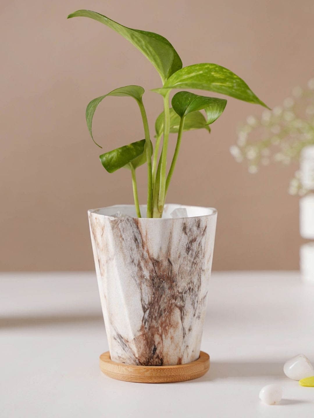 Nestasia White Marble Patterned Planter With Coaster Price in India