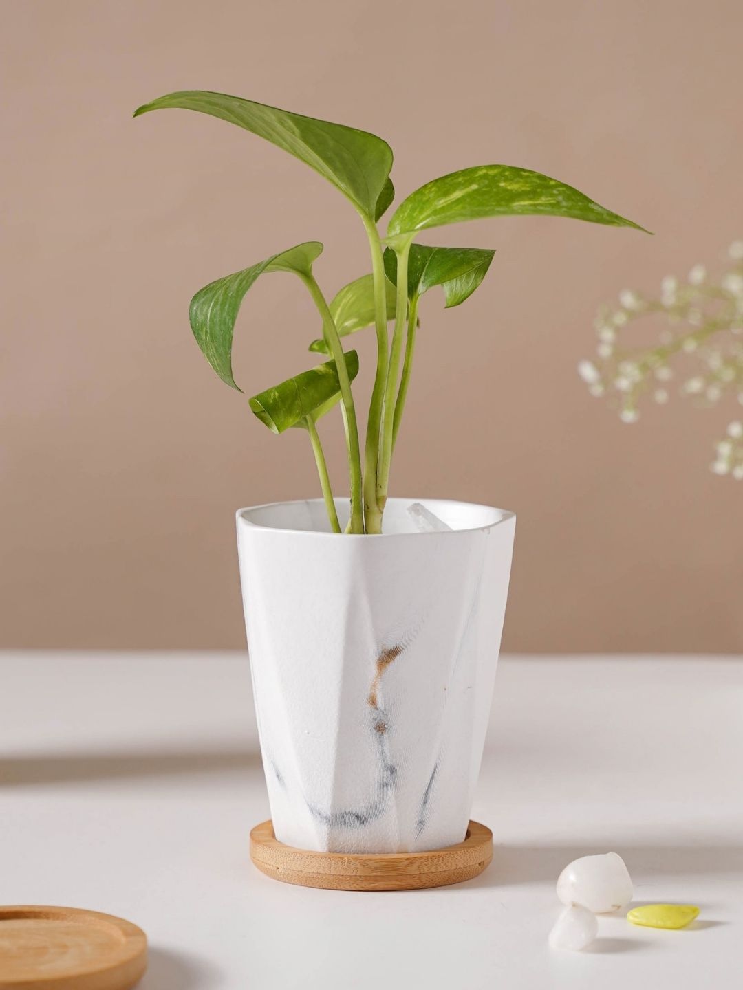 Nestasia White Solid Marble Planters With Coaster Price in India