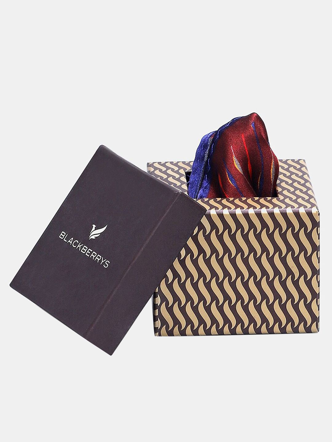 Blackberrys Men Printed Formal Pocket Square