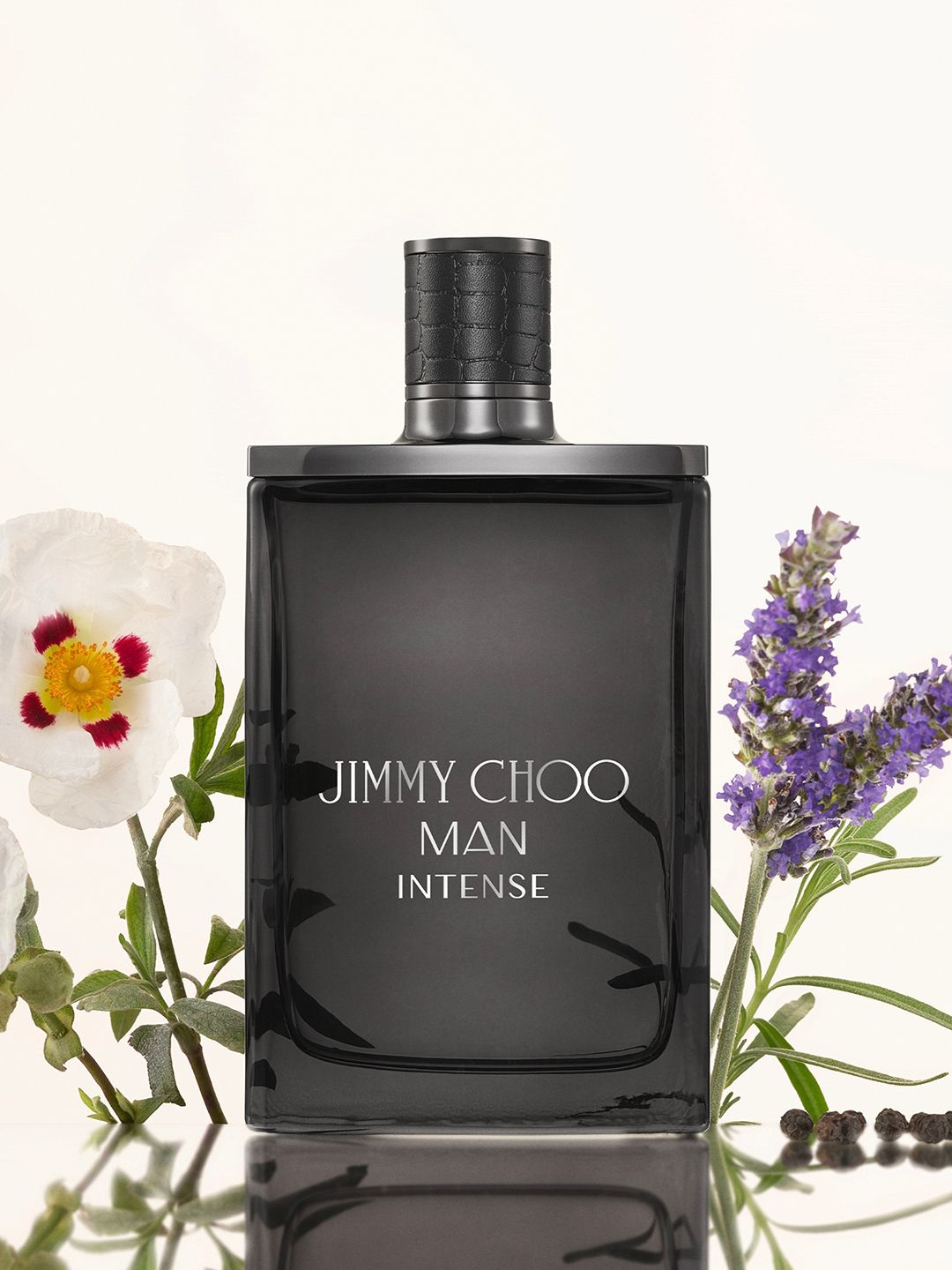 Buy Jimmy Choo Men Intense Eau De Toilette 100 ml - Perfume for