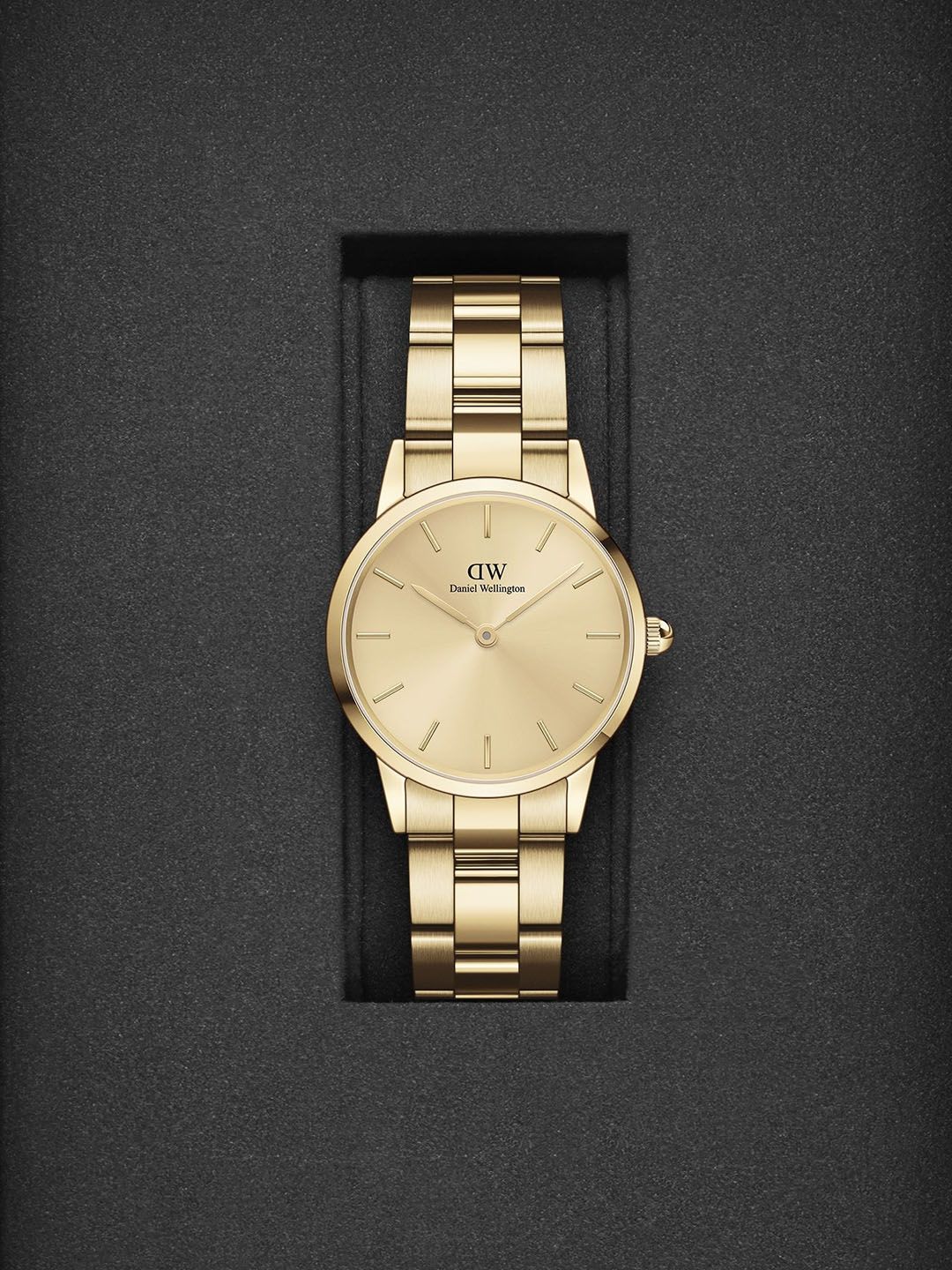 Daniel Wellington Daniel Wellington Women Dial & Stainless Steel Straps Analogue Watch DW00100403K