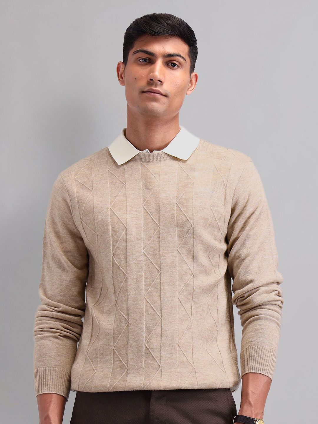 AD By Arvind Men Round Neck Long Sleeves Pullover Sweaters