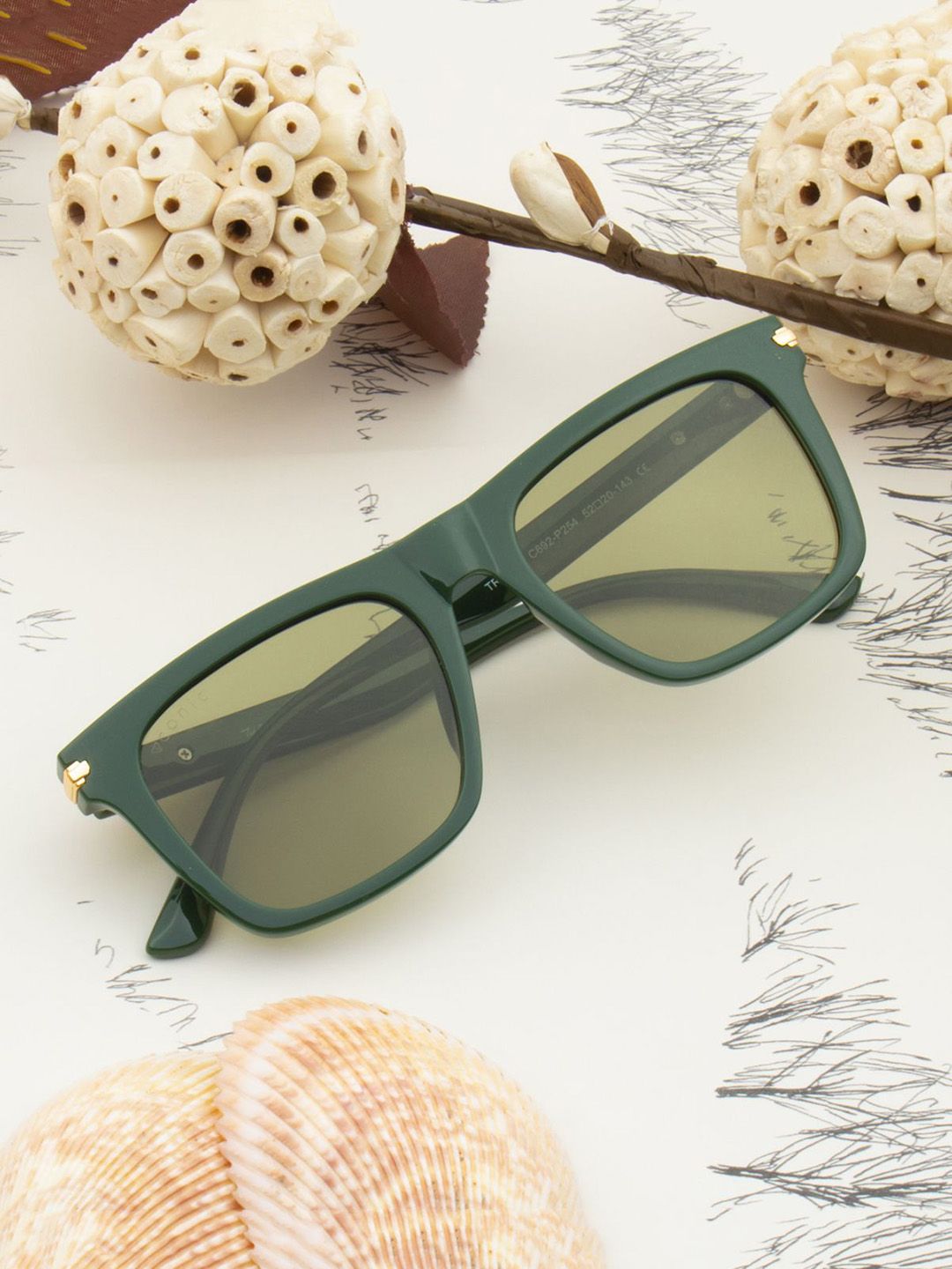 Ted Smith Adults Wayfarer Sunglasses with Polarised Lens SOULMATE_C3-GREEN