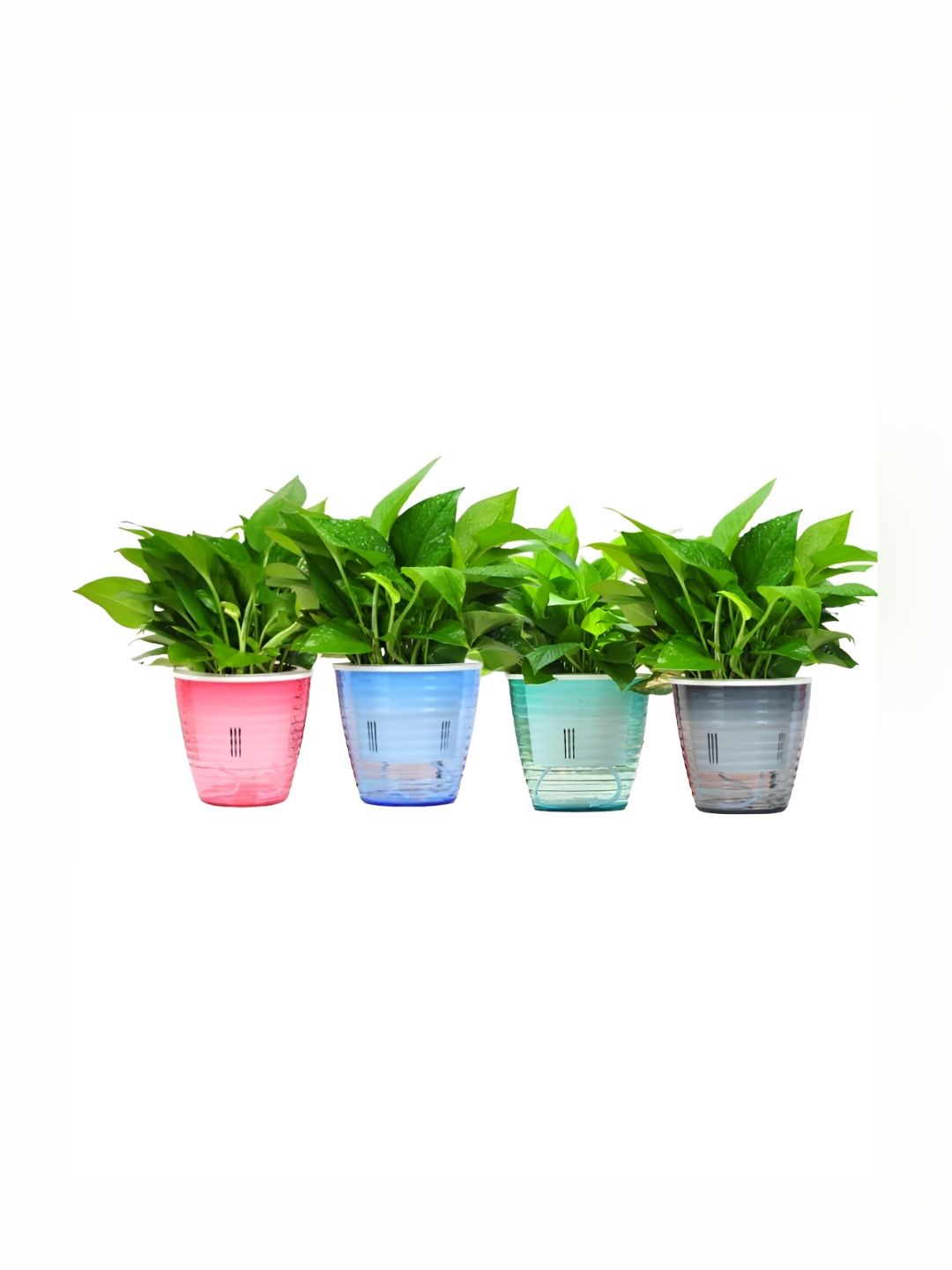 UMAI Blue & Pink 4 Pieces Self Watering Planters