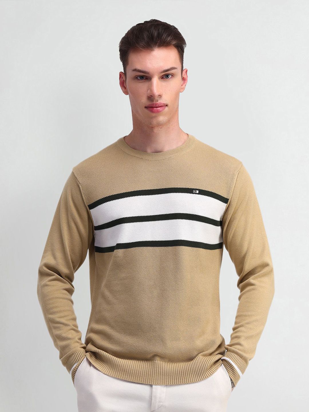 Arrow Sport Men Cotton Striped Pullover Sweaters