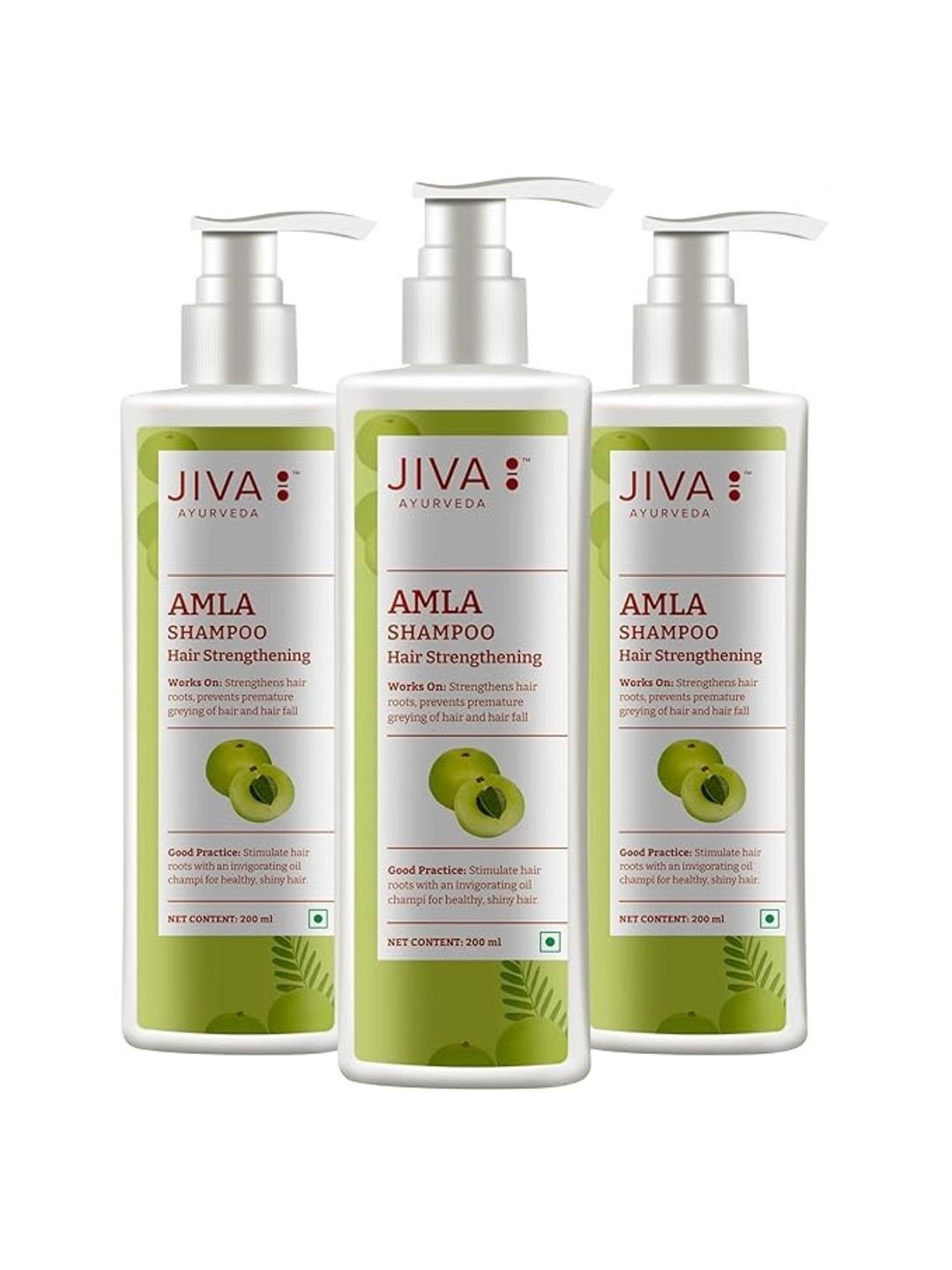 Jiva Set Of 3 Ayurveda Amla Shampoo For Hairfall & Dandruff 200 ml Each