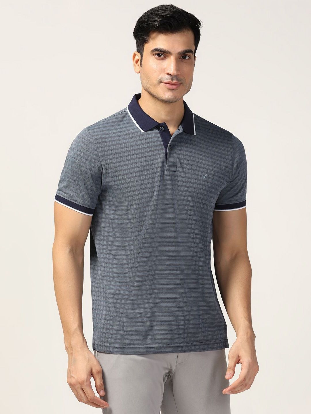 Blackberrys Men Striped Polo Collar Cotton Slim Fit T-shirt
