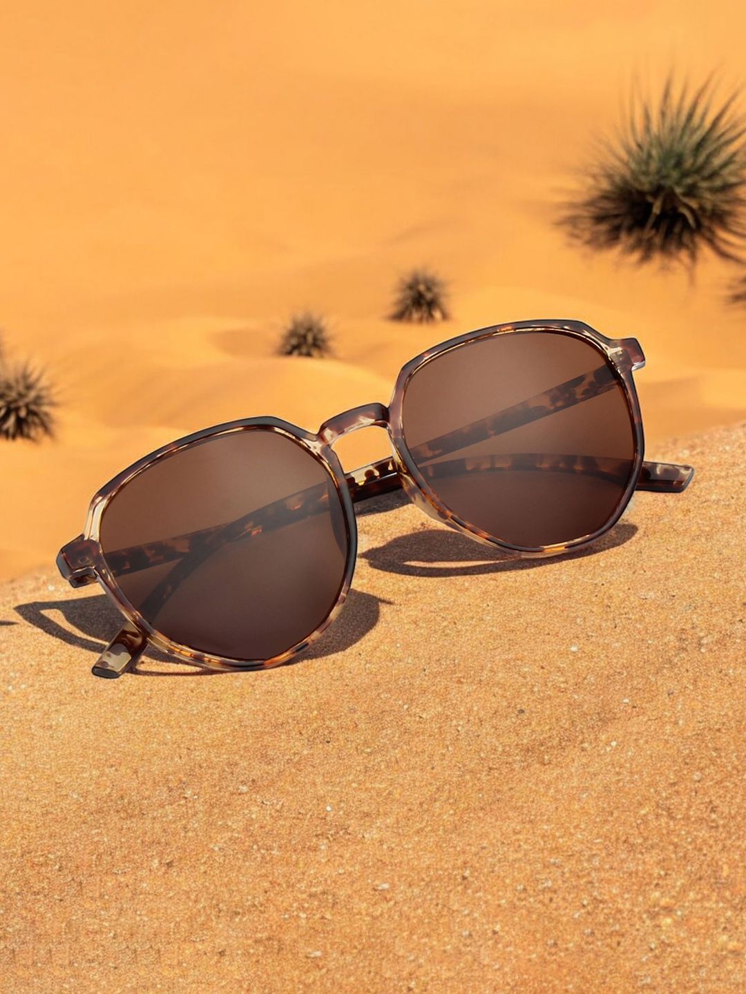 Ted Smith Unisex Round Sunglasses with Polarised UV Protected Lens MAPLE_DEMI-BRN-BROWN