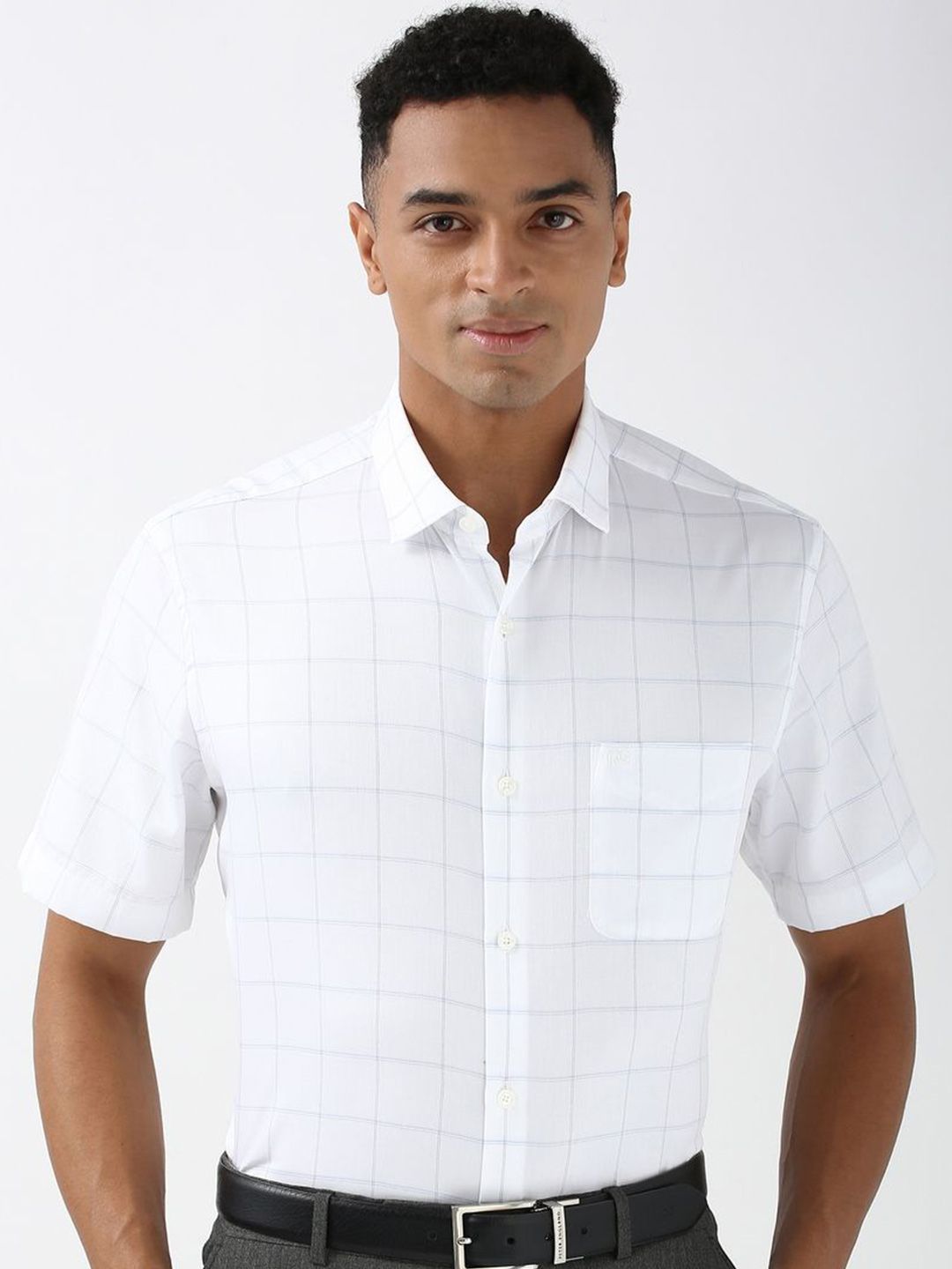 Peter England Elite Men Cotton Spread Collar Checked Formal Shirt