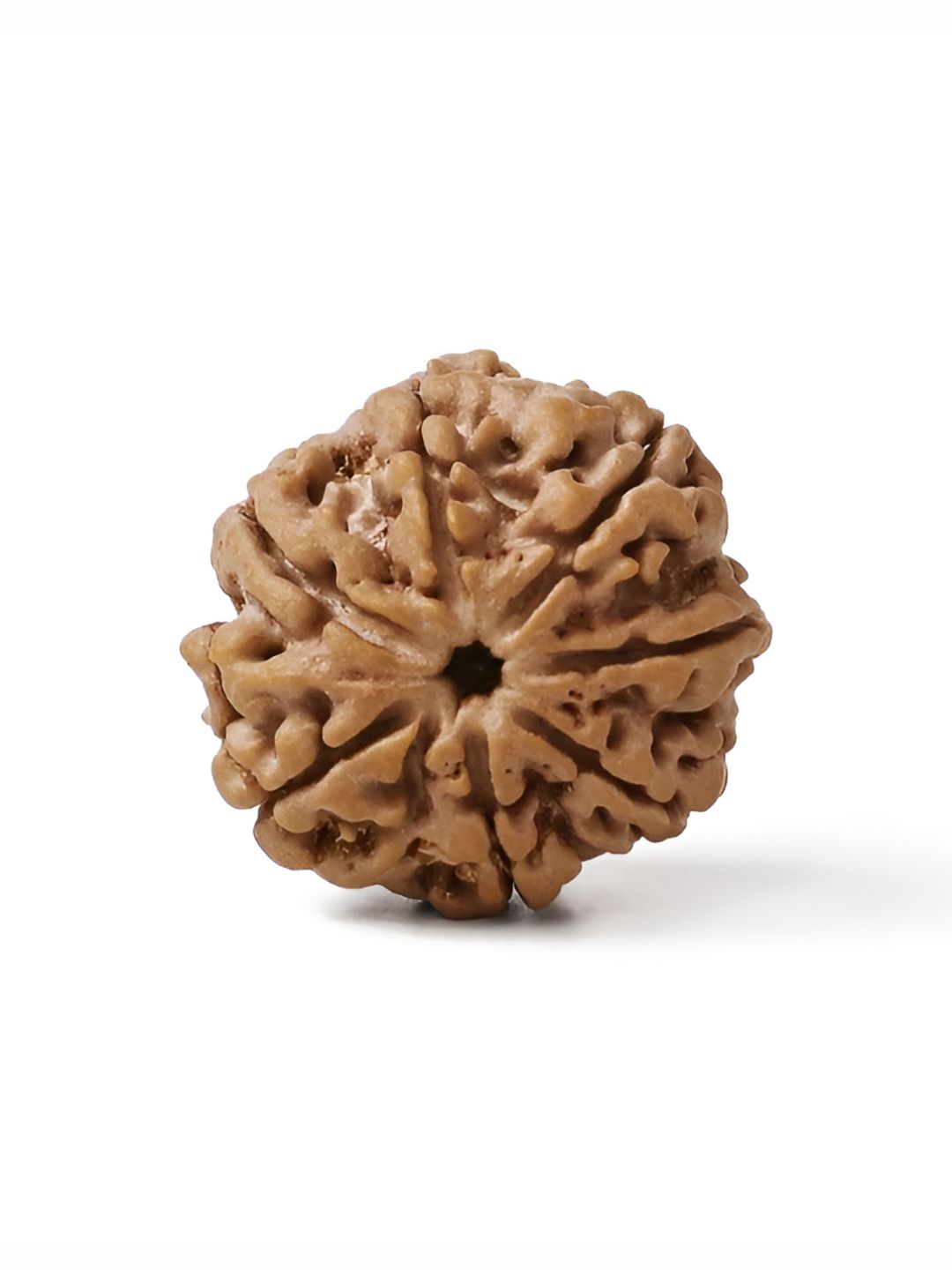 Gemsmantra Unisex 7 Mukhi Rudraksha Without Pendant deal from myntra