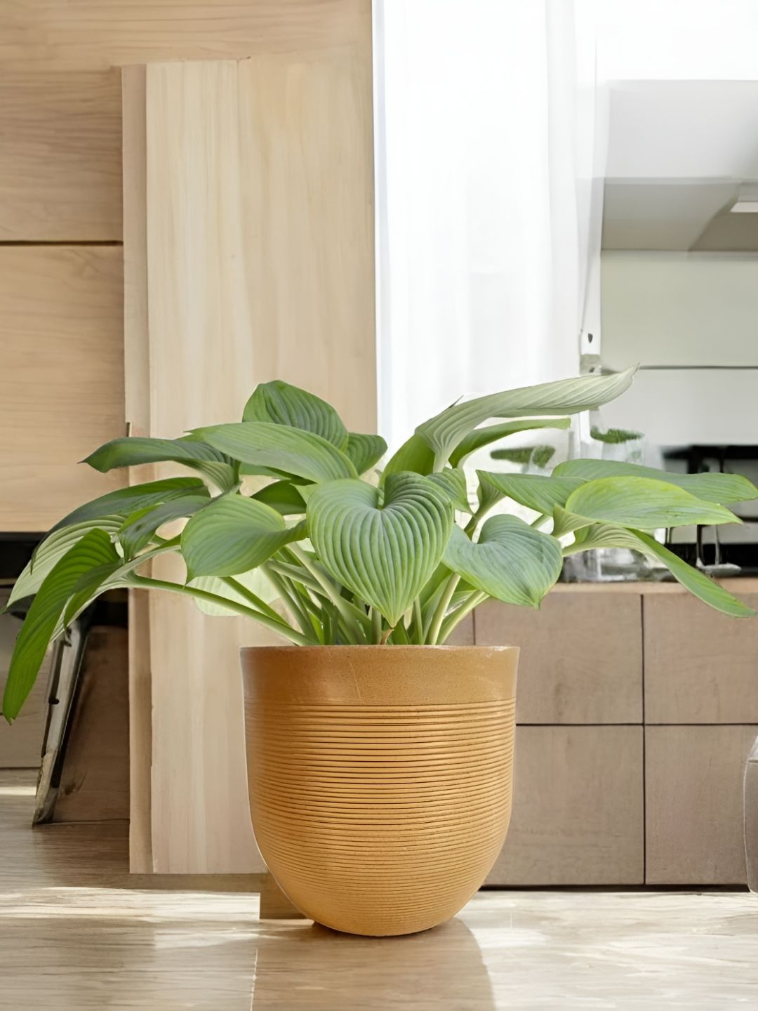 Go Hooked Decorative Planter & Indoor Outdoor  Flower Pot Milano 18