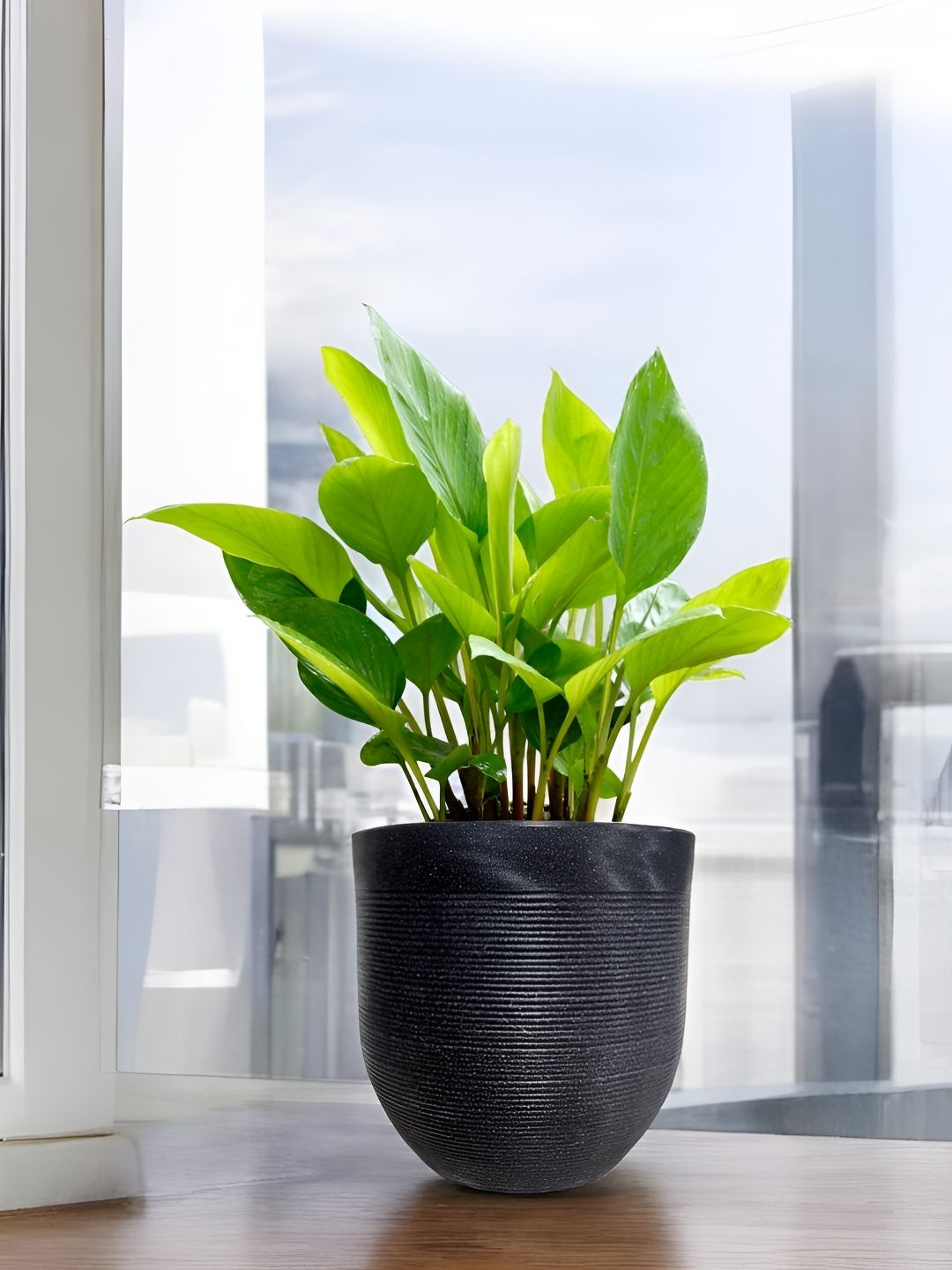 Go Hooked Decorative Planter & Indoor Outdoor  Flower Pot Milano 18