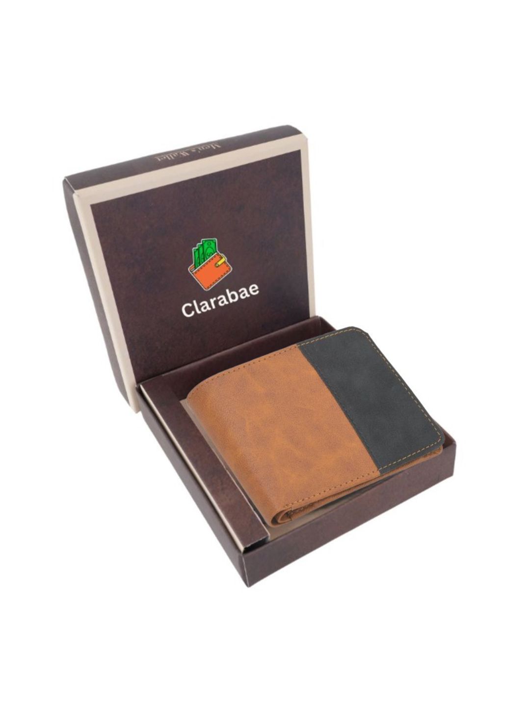 CLARABAE Men Colourblocked Two Fold Wallet