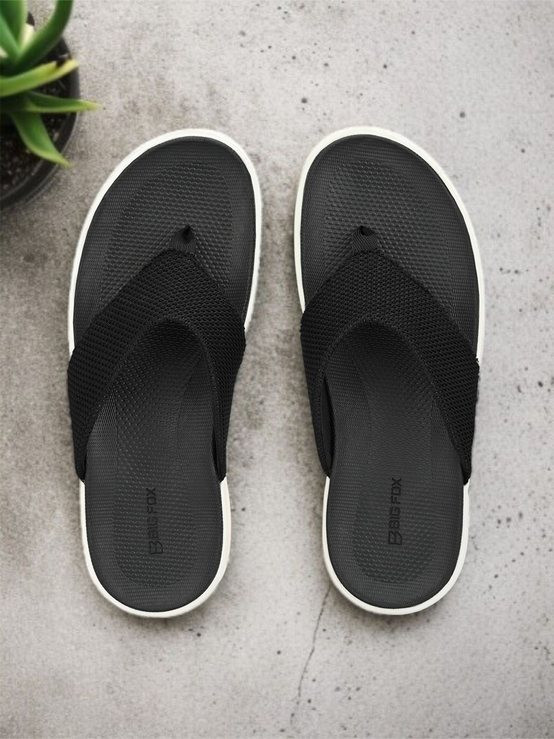 Big Fox Men Thong Flip-Flops