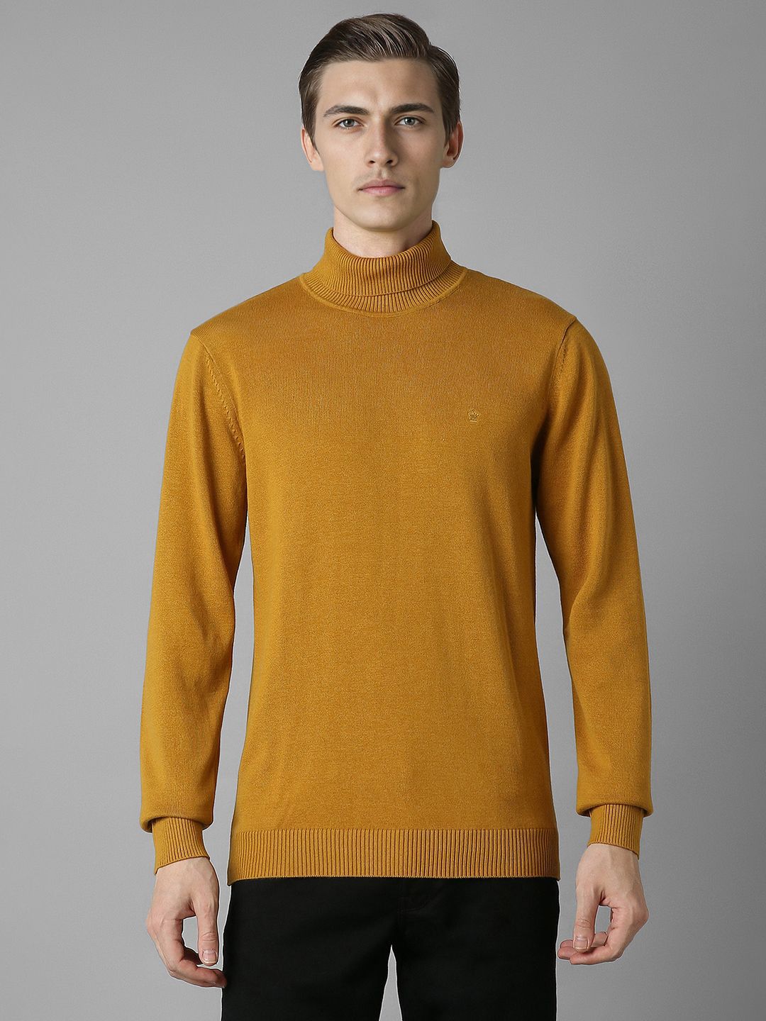 Louis Philippe Turtle Neck Full Sleeves Cotton Pullover Sweater