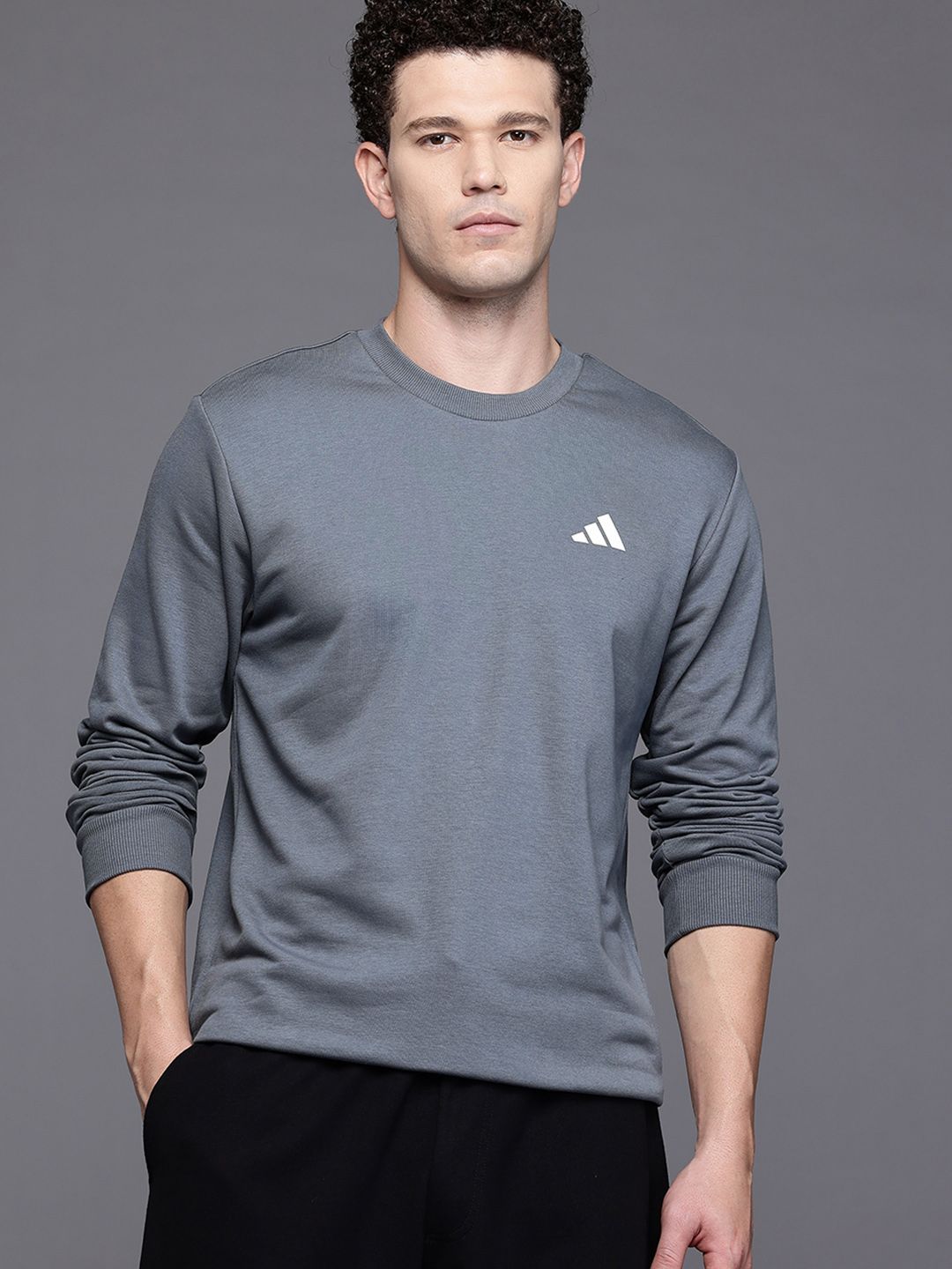 ADIDAS Crew Logo Regular Fit Sports Pullover