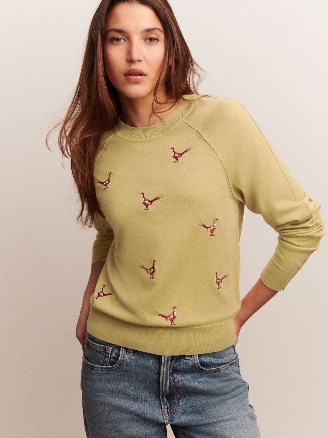 NEXT Conversational Printed Raglan Sleeves Pullover Sweater