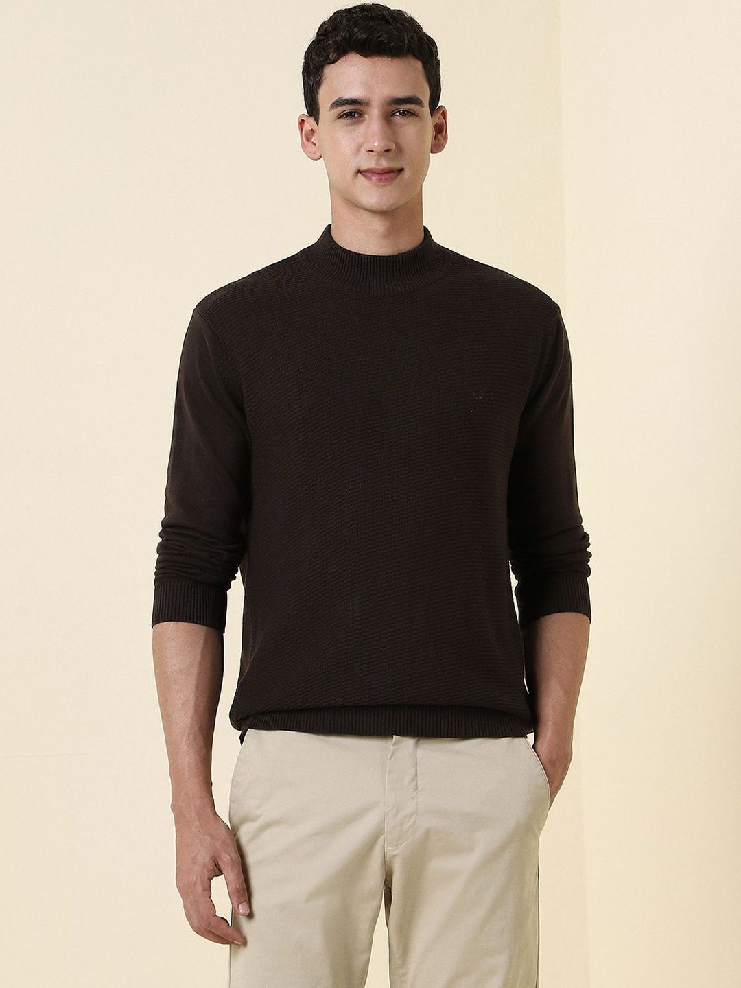 Allen Solly Men Ribbed Pullover