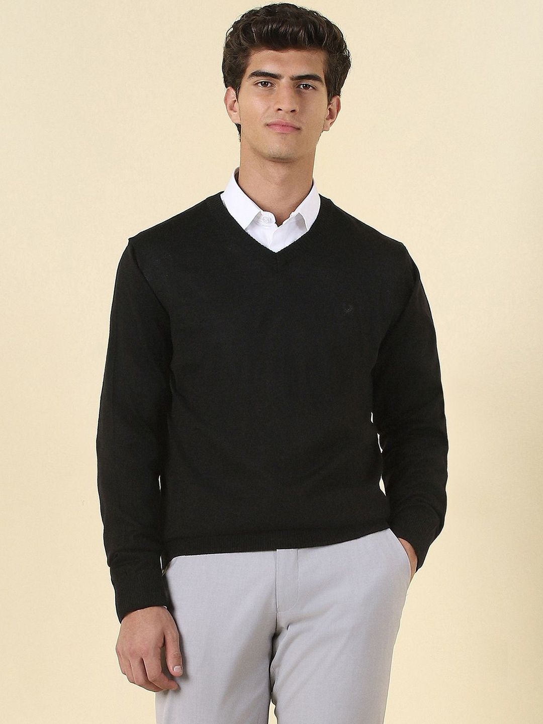 Allen Solly Men Pullover
