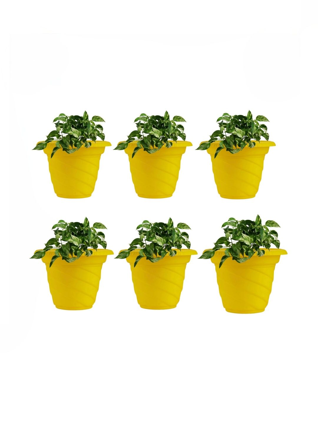 BLUEVISTA Twister 6Pcs Yellow Durable Gradening Flower Planters