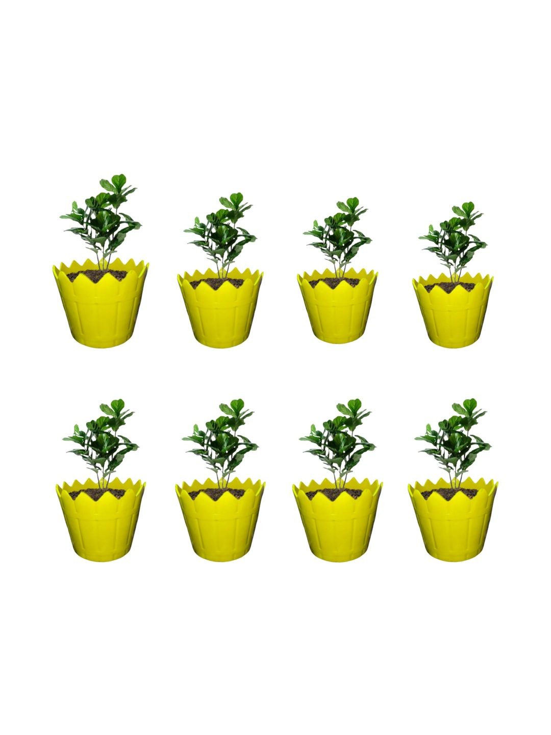 BLUEVISTA 8 Pcs Yellow Lightweight Fence Pots