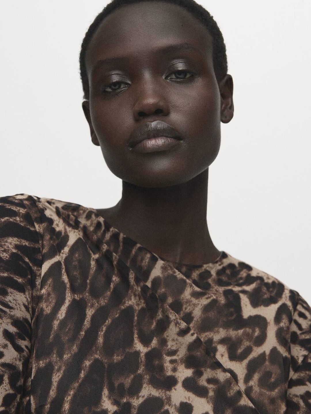 Animal Print A-Line Mini Dress