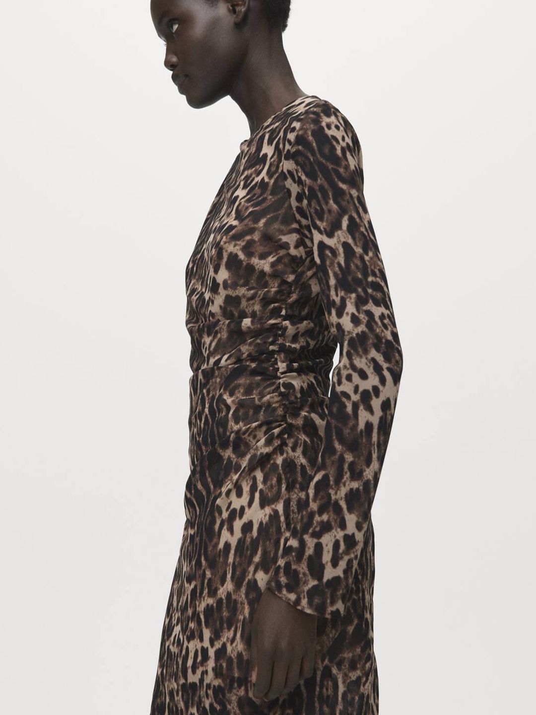 Animal Print A-Line Mini Dress