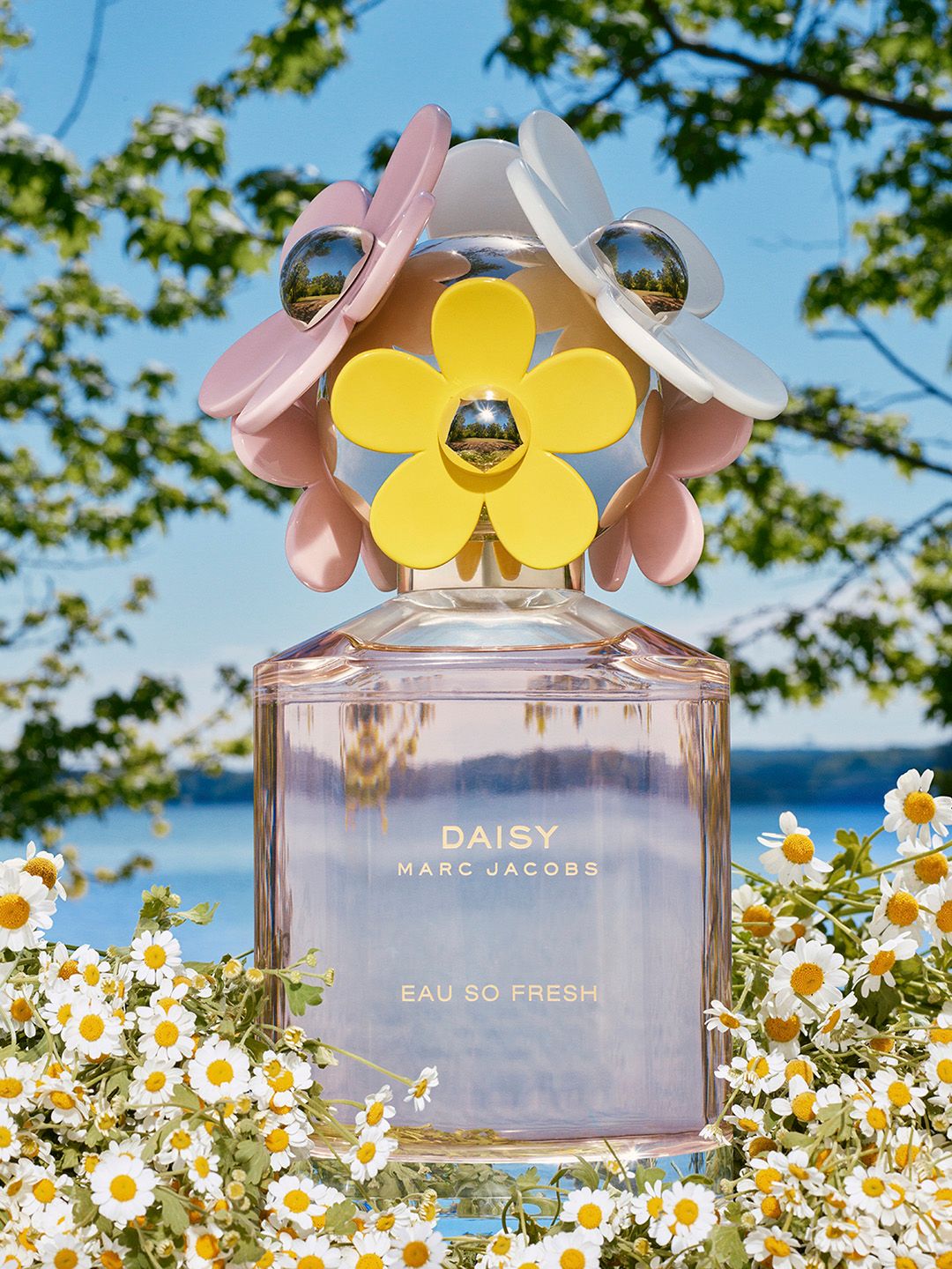 Buy MARC JACOBS Fragrances Women Daisy Eau So Fresh Eau de