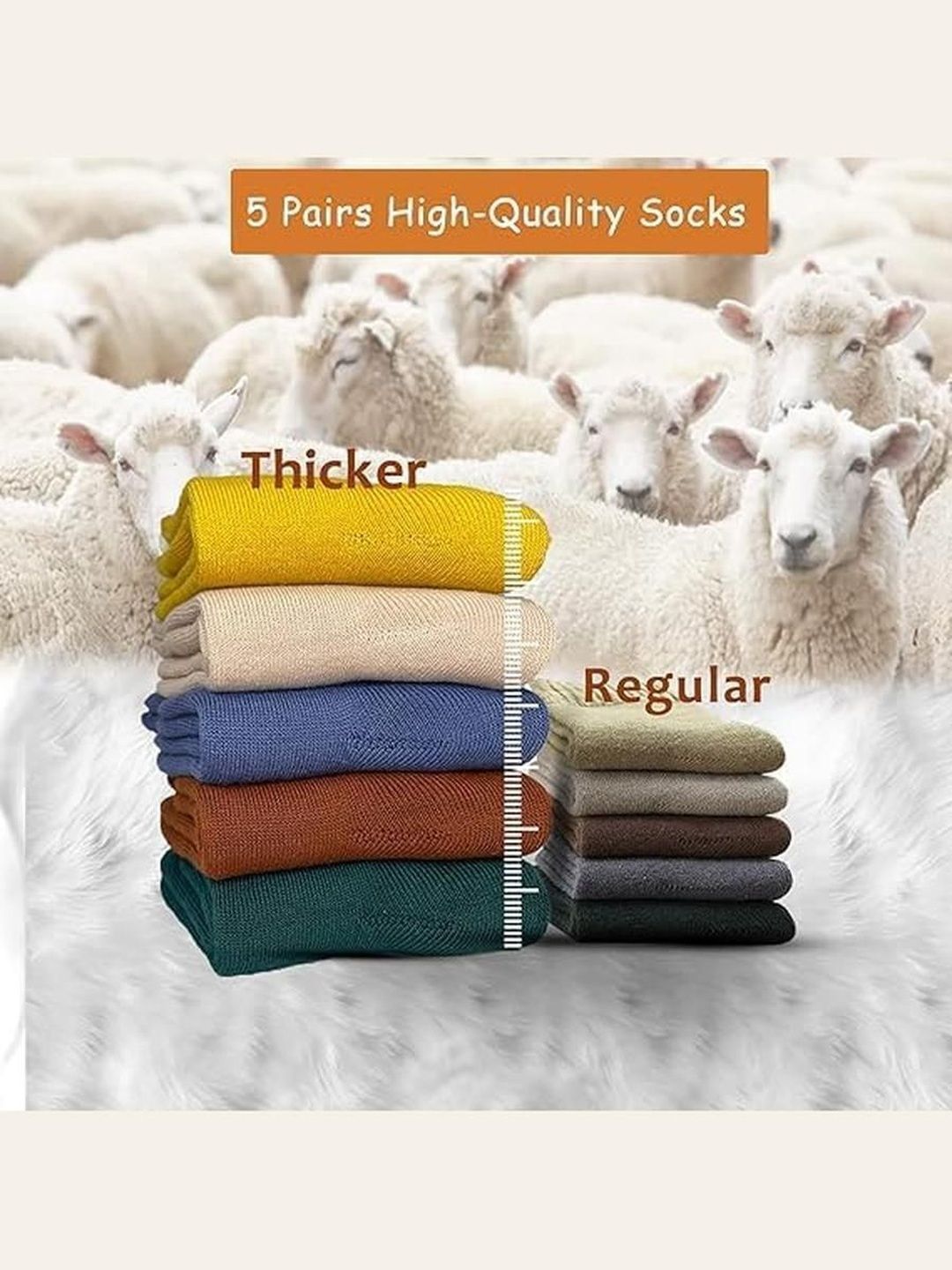 EL REGALO Unisex Pack of 5 Calf Length Socks