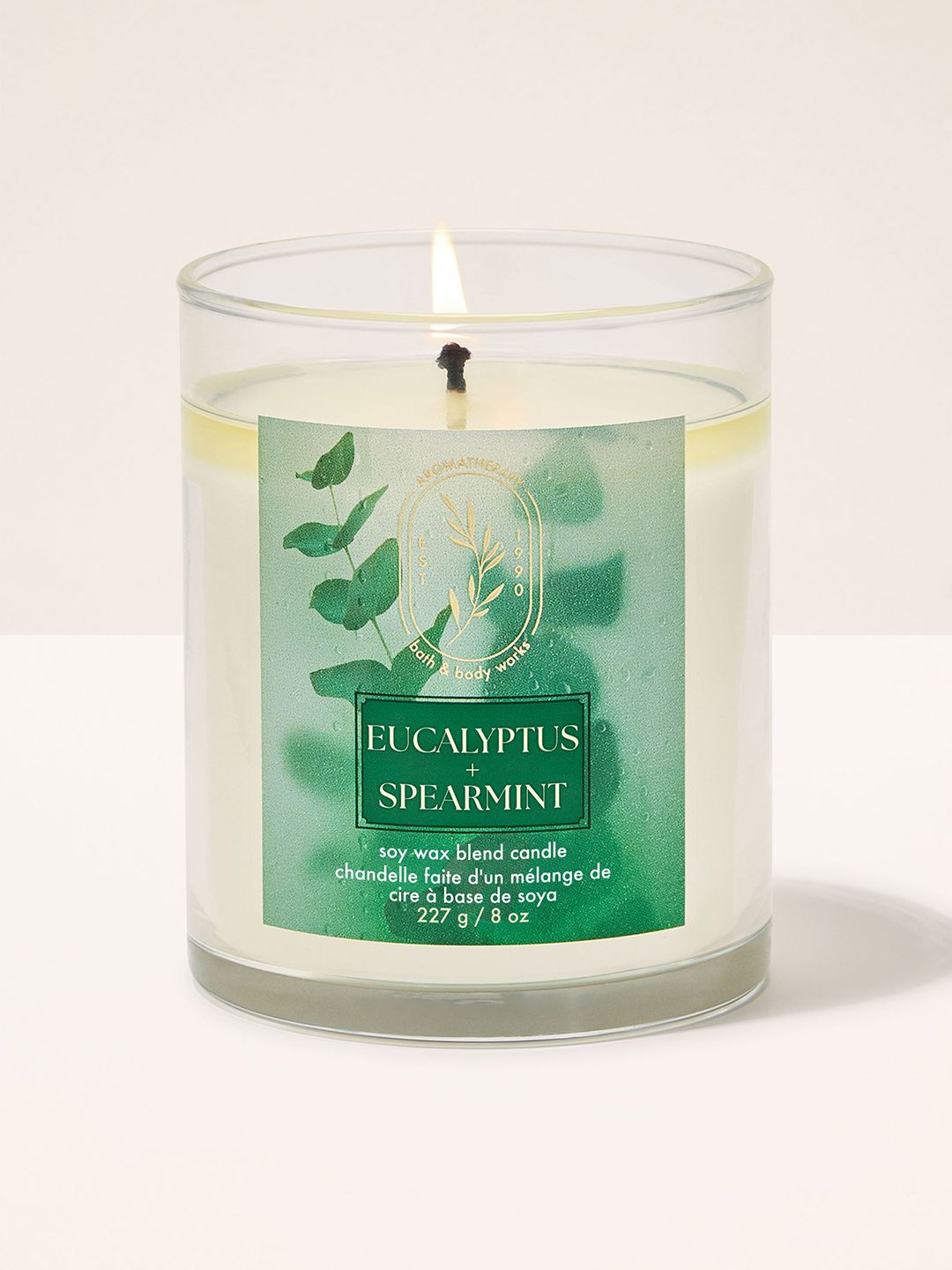 Bath & Body Works Eucalyptus Spearmint Single Wick Candle - 227 g