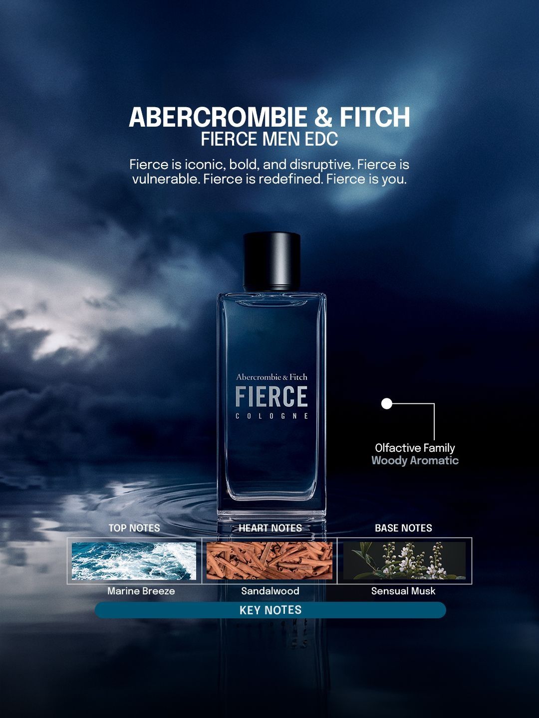 Buy ABERCROMBIE & FITCH Men Fierce Long Lasting Eau de Cologne