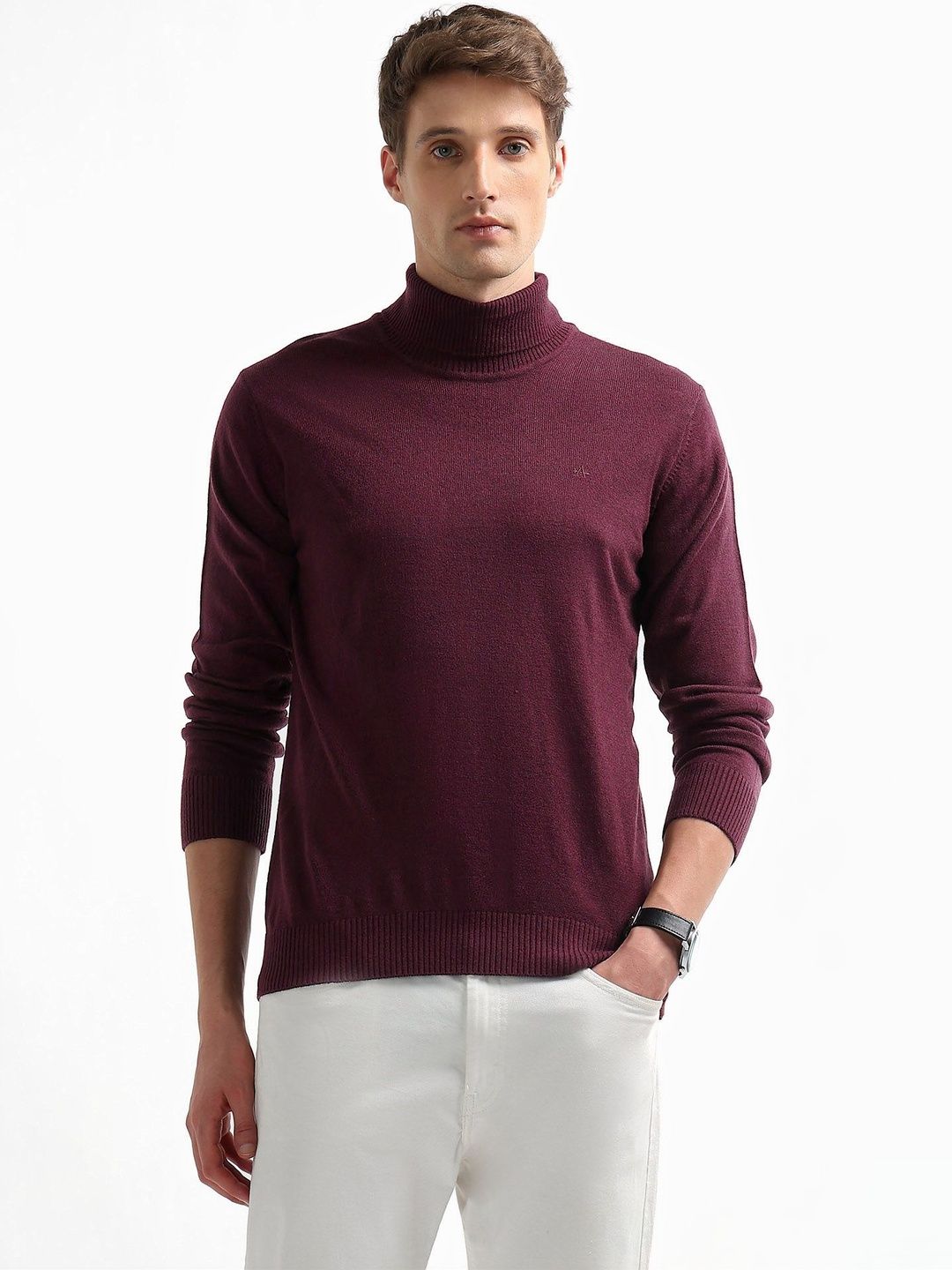Arrow Sport Men Pullover